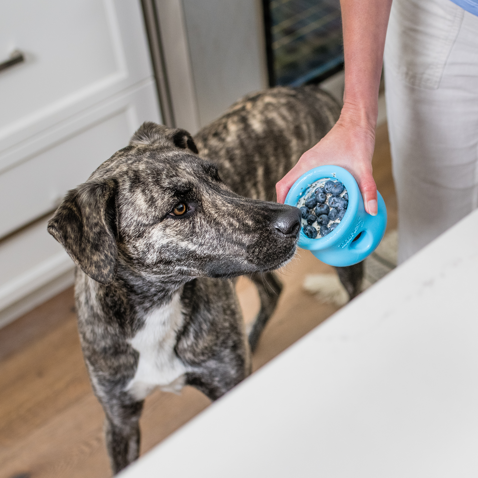 Toppl Treat Puzzle Toy