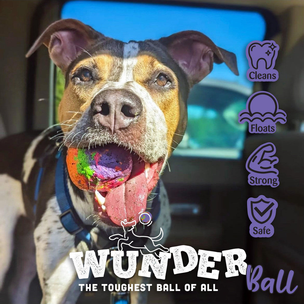 The WUNDERball Fetch Toy