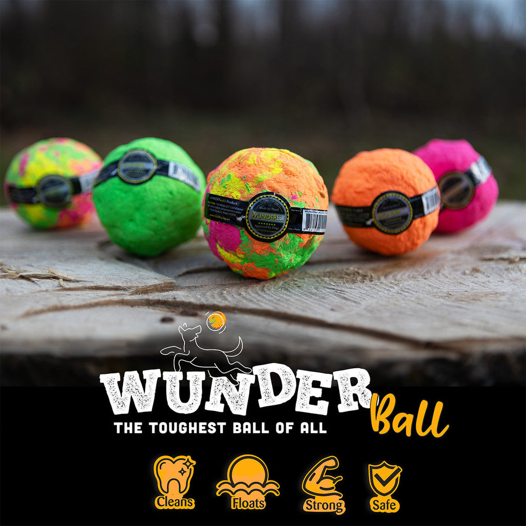 The WUNDERball Fetch Toy