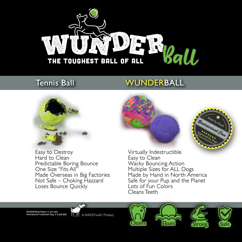 The WUNDERball Fetch Toy