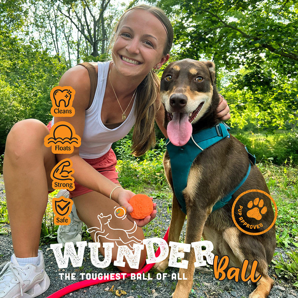 The WUNDERball Fetch Toy