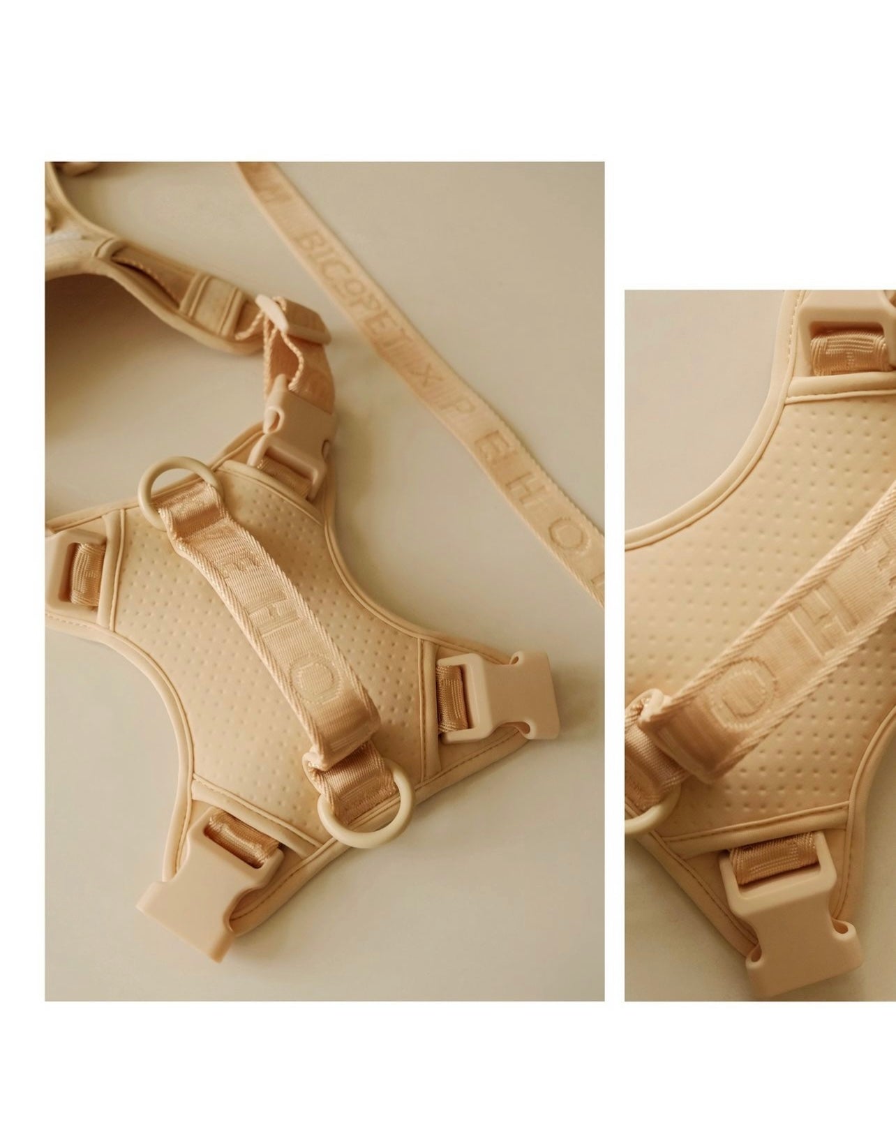 Urban Active Dog Harness - Mint Purple