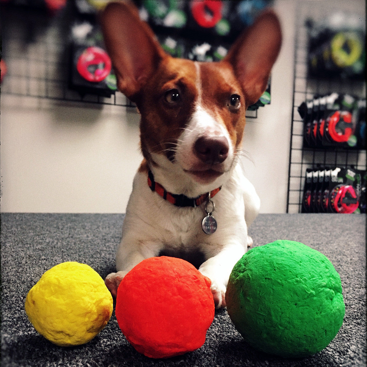 The WUNDERball Fetch Toy