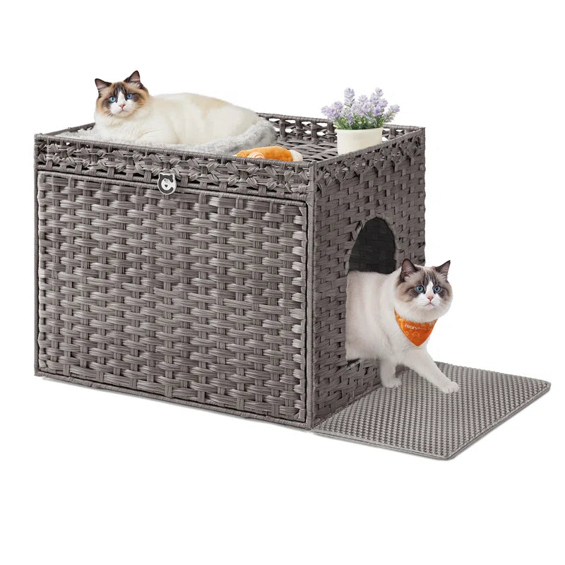 Cat house with two cats inside on a white background