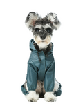 Urban Shell Dog Raincoat - Blue