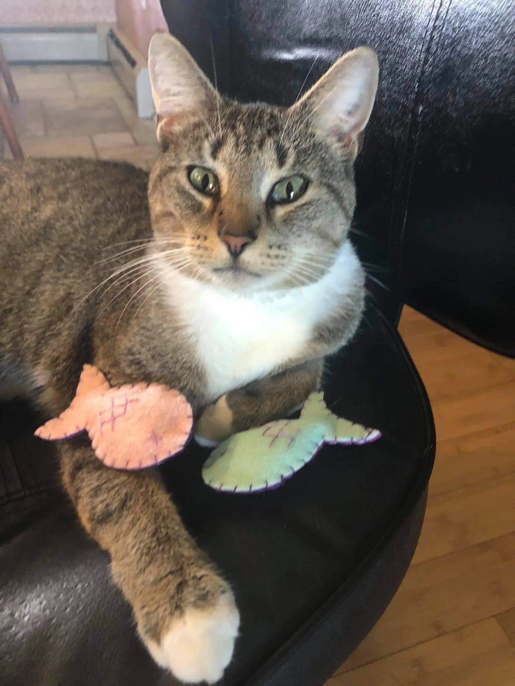 Organic Catnip Fish Toy