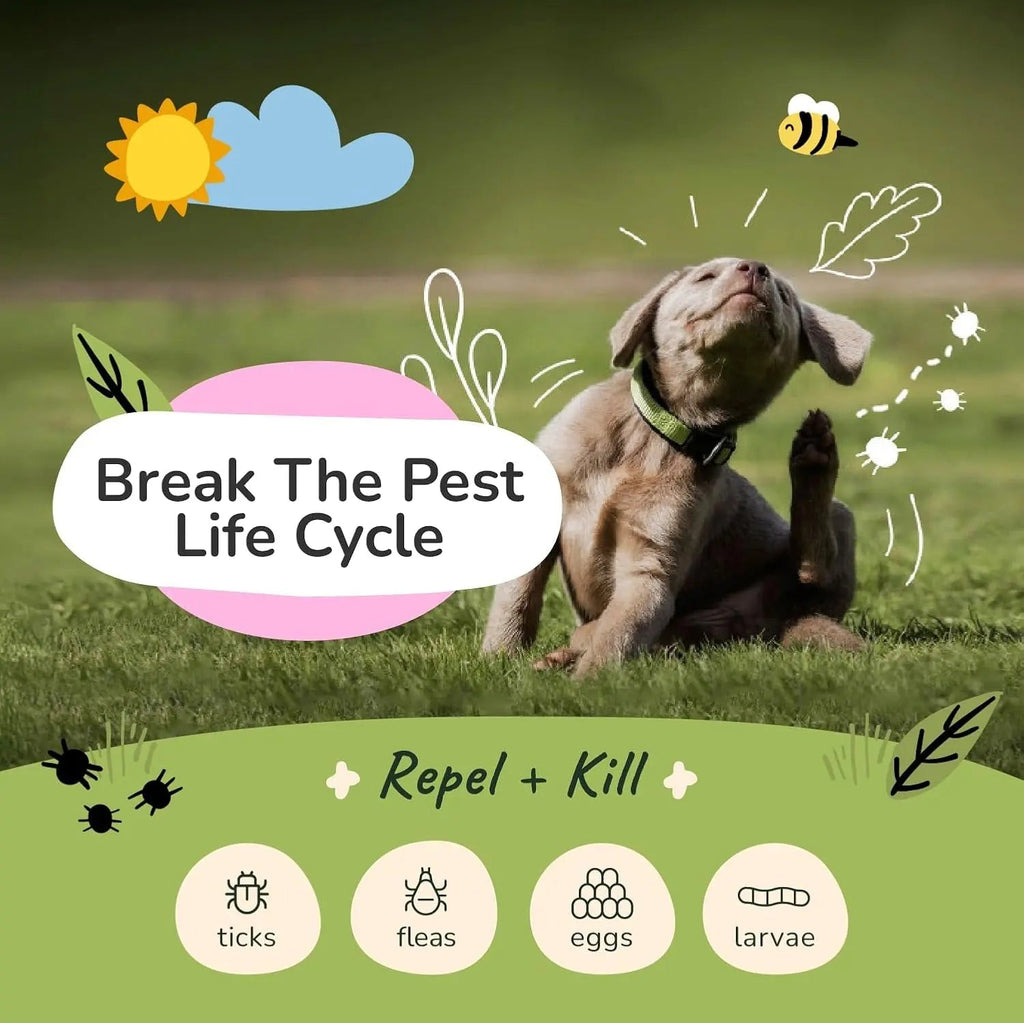 kin+kind Plant-Based Flea & Tick Defense Kit