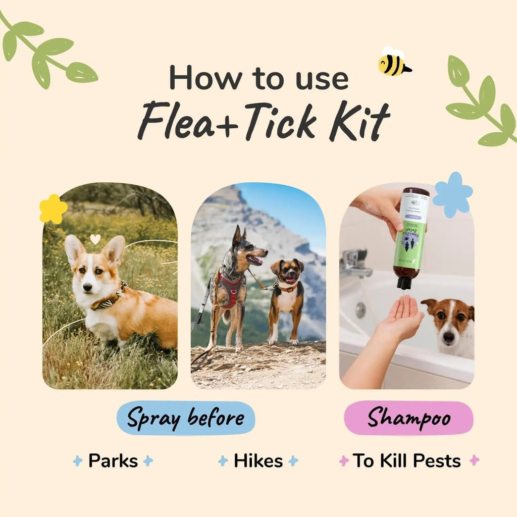 kin+kind Plant-Based Flea & Tick Defense Kit