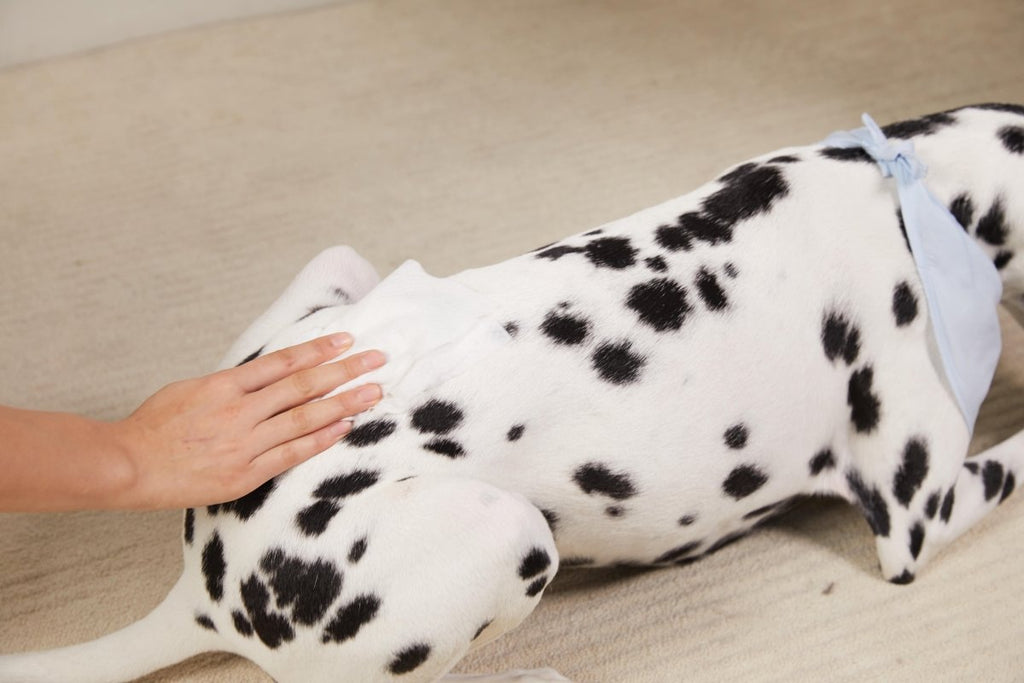 Hypoallergenic Plant-Based Pet Wipes